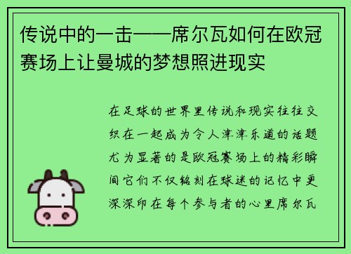 传说中的一击——席尔瓦如何在欧冠赛场上让曼城的梦想照进现实