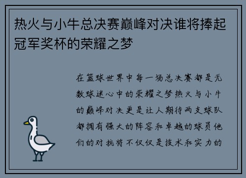热火与小牛总决赛巅峰对决谁将捧起冠军奖杯的荣耀之梦
