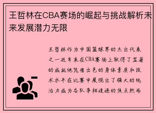 王哲林在CBA赛场的崛起与挑战解析未来发展潜力无限