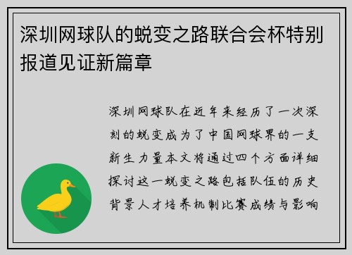 深圳网球队的蜕变之路联合会杯特别报道见证新篇章