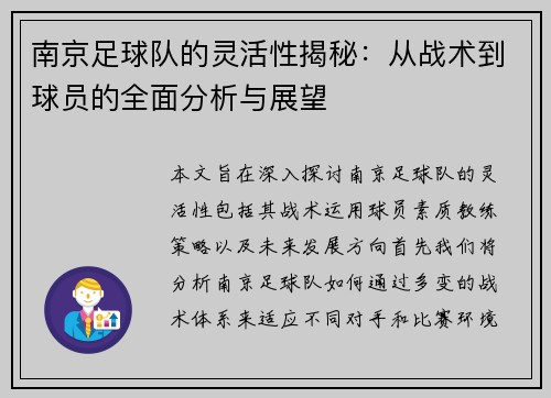 南京足球队的灵活性揭秘：从战术到球员的全面分析与展望